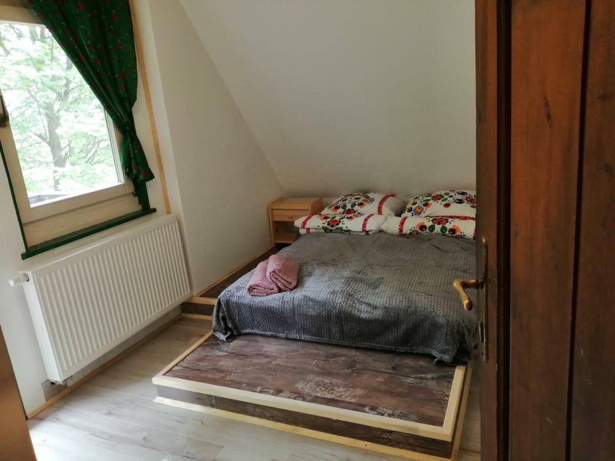 Willa Wislok Wisła Dış mekan fotoğraf